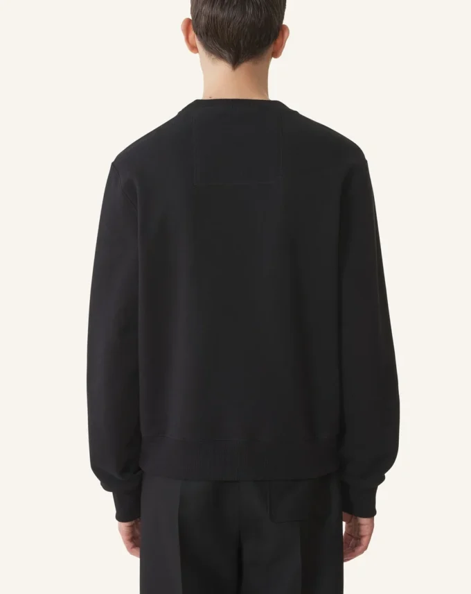 Lanvin Sweatshirt aus bestickter Baumwolle Lanvin Sweatshirt aus bestickter Baumwolle