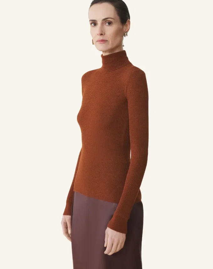 Rollkragenpullover aus Merinowolle und Seide