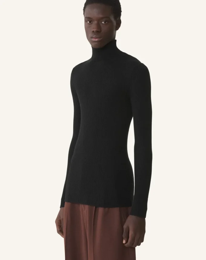 Rollkragenpullover aus Merinowolle und Seide